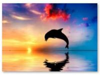 MORSKA MAGIA DELFIN  MOZAIKA DIAMENTOWA