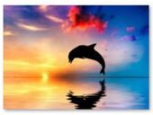 MORSKA MAGIA DELFIN  MOZAIKA DIAMENTOWA