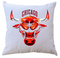 Poduszka z wkładem Chicago Bulls