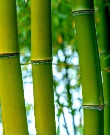 KOLARKI LEGINSY GETRY BIAŁE SPORT wysoki stan M/L na Arena.pl