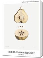 Obraz 50x70cm Design Pear Fruit, Redoute Vintage do Salonu
