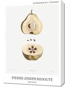 Obraz 50x70cm Design Pear Fruit, Redoute Vintage do Salonu