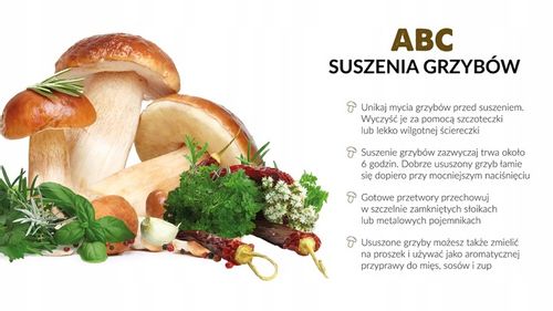 Suszarka do grzybów owoców MPM MSG-01 5 SIT na Arena.pl