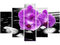 70 100CM OBRAZ 5 ELEM OSTOJA PIĘKNA DRUK PŁÓTNO