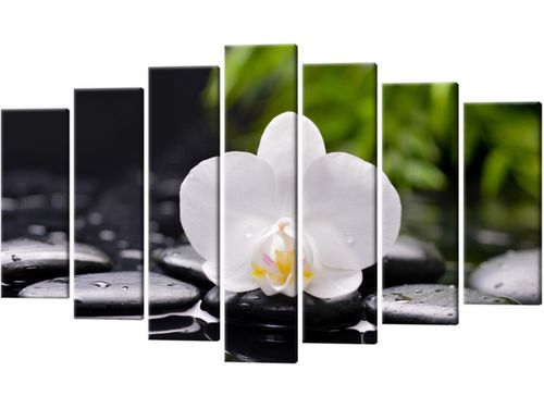 Obraz Biała orchidea 140x80 GRATISY na Arena.pl