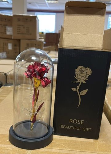 Róża w szkle na Arena.pl