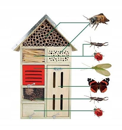 DOMEK hotel BUDKA LĘGOWA DLA OWADÓW MOTYLI Z NATURALNEGO DREWNA DUŻY Z KORĄ na Arena.pl