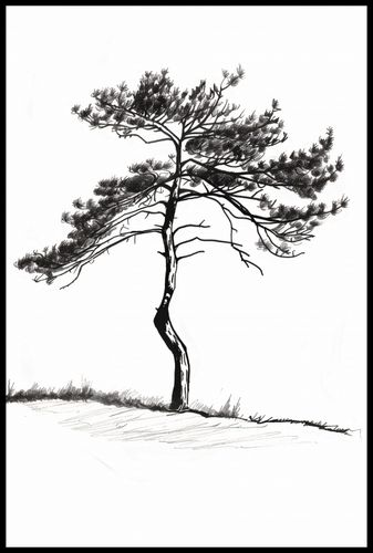 Plakat 61x91,5cm Samotna Sosna na Arena.pl