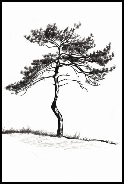 Plakat 61x91,5cm Samotna Sosna zdjęcie 2