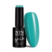 Lakier hybrydowy LED/UV Gel Polish NTN Premium Design Your Style Nr 43 5 g