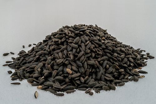 CZARNY SŁONECZNIK ZIARNO POKARM DLA PTAKÓW 5KG ZDROWY I POŻYWNY NA ZIMĘ na Arena.pl