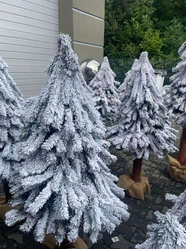 Choinka na pniu ze śniegiem - świerk górski ośnieżony Premium 156 cm na Arena.pl