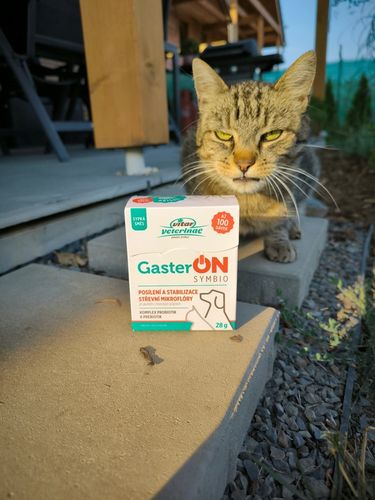 VITAR Veterinae GasterON SYMBIO - probiotyki i prebiotyki - aż 100 dawek na Arena.pl