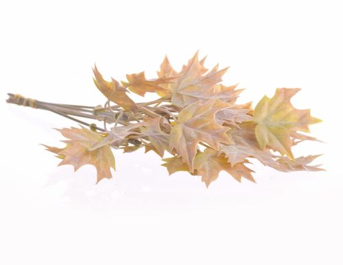 Listki jesienne 6szt na Arena.pl