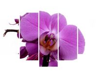 70 100CM OBRAZ 5 ELEM FIOLETOWY STORCZYK DRUK PŁÓTNO