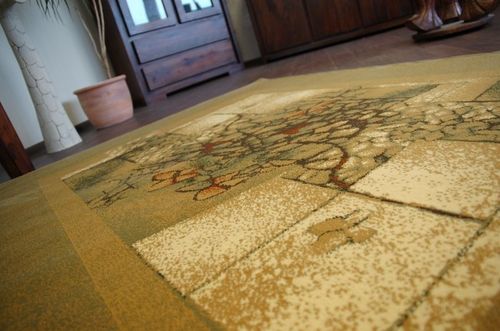 Dywan STANDARD SOLDERA oliwka na Arena.pl