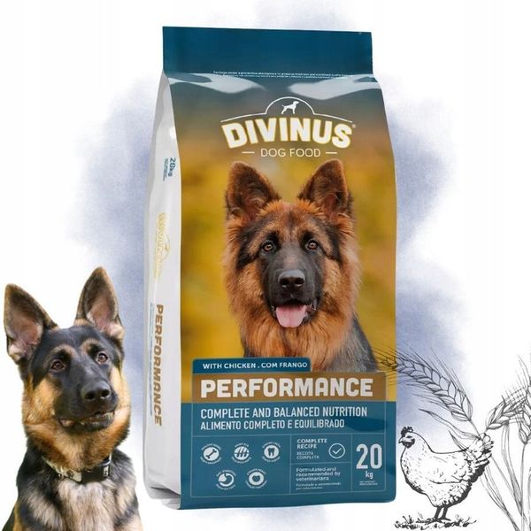 DIVINUS Performance karma sucha dla psa owczarek labrador witaminy 20kg zdjęcie 1