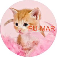 Opłatek na tort KOT Kotek Kotki Kiciuś Kocur Miluśiński Tekst Gratis