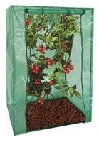 FOLIA SZKLARNIA NAMIOT NA POMIDORY TUNEL OGRODOWY MINI WARZYWNIAK INSPEKT