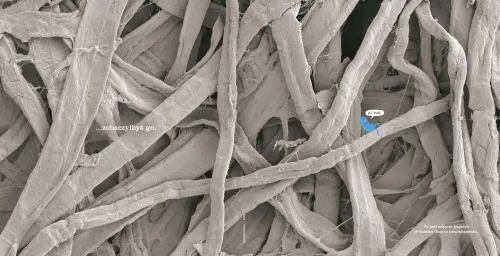 Nie liż tej książki na Arena.pl