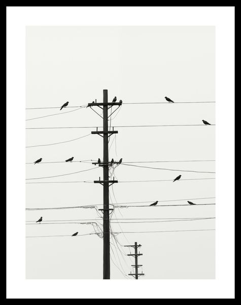Plakat 30x40cm Symfonia na Drutach zdjęcie 3