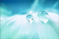 Tło PRODUKTOWE kulinarne Flat Lay na bloga insta