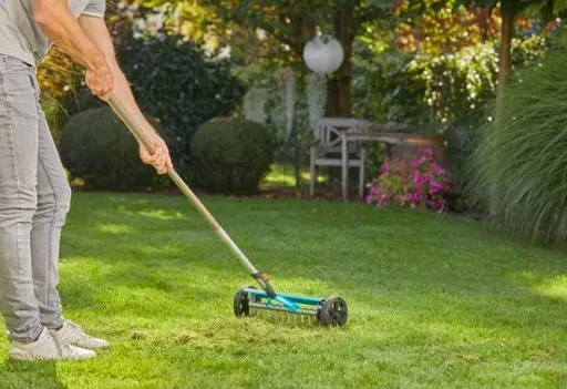 Wertykulator na kółkach do oczyszczania trawnika po zimie 3395 Gardena zdjęcie 4