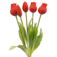 TULIPAN sztuczny TULIPANY SILIKONOWE BUKIET 5 sztuk CZERWONE