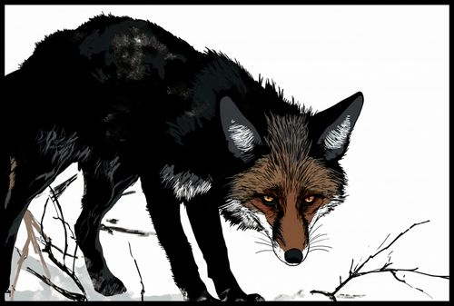 Plakat 91,5x61cm Nieufny Lis na Arena.pl