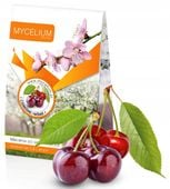 Mikoryza CZEREŚNIE I WIŚNIE Mycelium