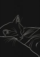 Plakat 67,5x95cm Nocny Spokój