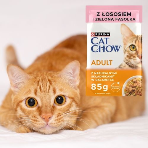 karma mokra dla kota purina cat chow adult łosoś z fasolką naturalna 85 g na Arena.pl