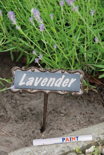 Żeliwny znacznik do roślin na Arena.pl