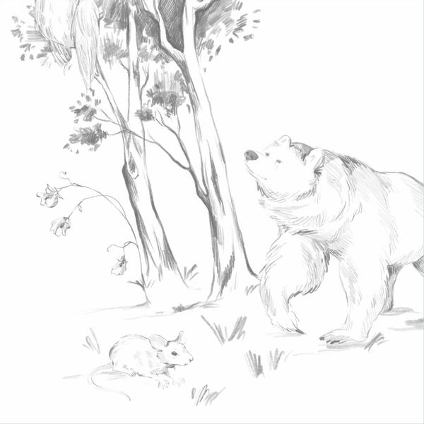 Tapeta Szkic Las W124 250 cm płótno zdjęcie 1