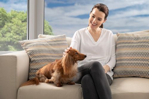 FURminator dla psów średnich sierść krótka M na Arena.pl