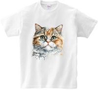 Koszulka T-shirt Kot