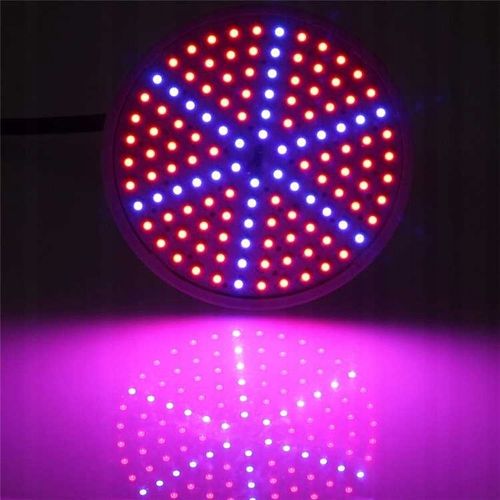 LAMPA Z ŻARÓWKA E27 DO WZROSTU UPRAWY ROŚLIN PANEL FULL SPECTRUM 20W 200LED na Arena.pl