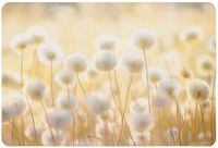 Podkładka mata na stół dwustronna korkowa laminowana 39x28,5 cm dmuchawce