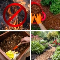 product-compare-58441545