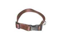 A-005 OBROŻA DLA PSA TAŚMA 25mm/34-55cm Kolor - Brązowy