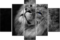 product-compare-58697113