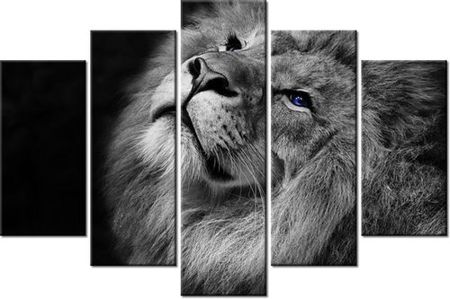 100CM 150CM OBRAZ 5 ELEM SREBRNY LEW NIEBIESKIMI OCZYMA ŚCIENNY na Arena.pl