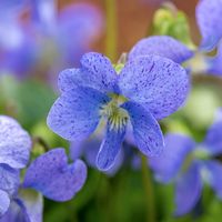 product-compare-57951198