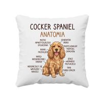 Cocker Spaniel anatomia - poduszka na prezent z pieskiem