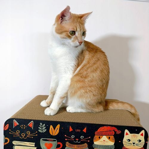 Drapak dla kota pierniki | 46x21x30 cm | Mruu&Pruu na Arena.pl