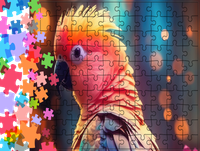 Puzzle tradycyjne Zwierzęta - Papuga