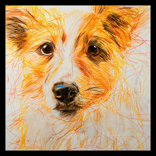 Plakat 40x40cm Uroczy Gość na Arena.pl