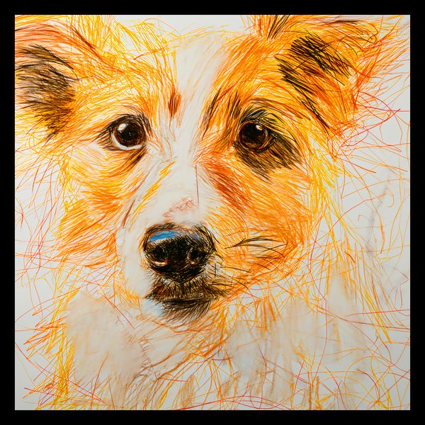 Plakat 40x40cm Uroczy Gość zdjęcie 2