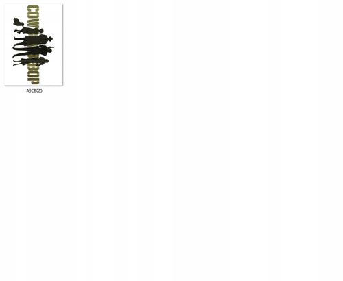 Plakat Cowboy Bebop DO WYBORU na Arena.pl