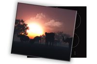 product-compare-60660955